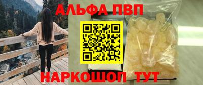 стаф Дубна