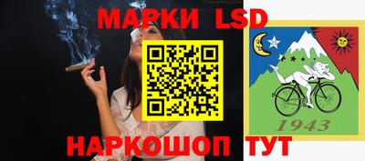 амф Донской