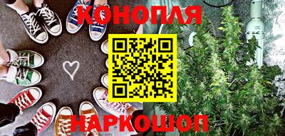 стаф Дубна