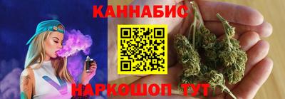 стаф Дубна