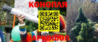 стаф Дубна