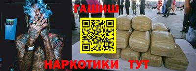 стаф Дубна