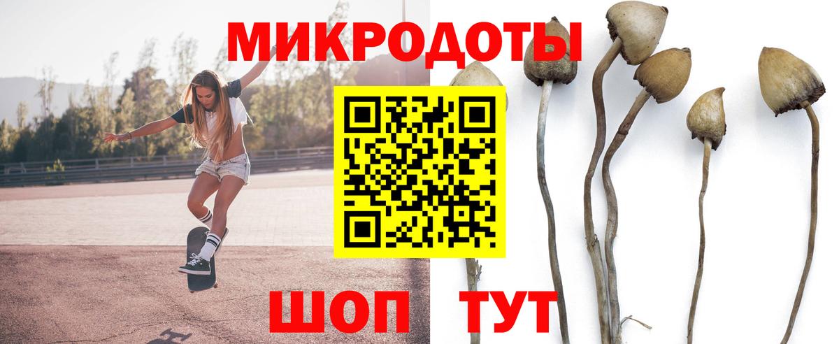 Галлюциногенные грибы GOLDEN TEACHER  что такое наркотик  Вход с VPN  Курганинск  Галлюциногенные грибы прущие грибы 